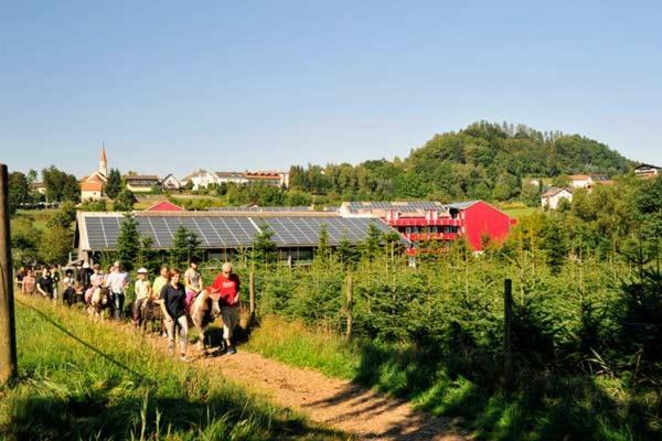 Familienhotel Reiterhof Runding Exteriör bild